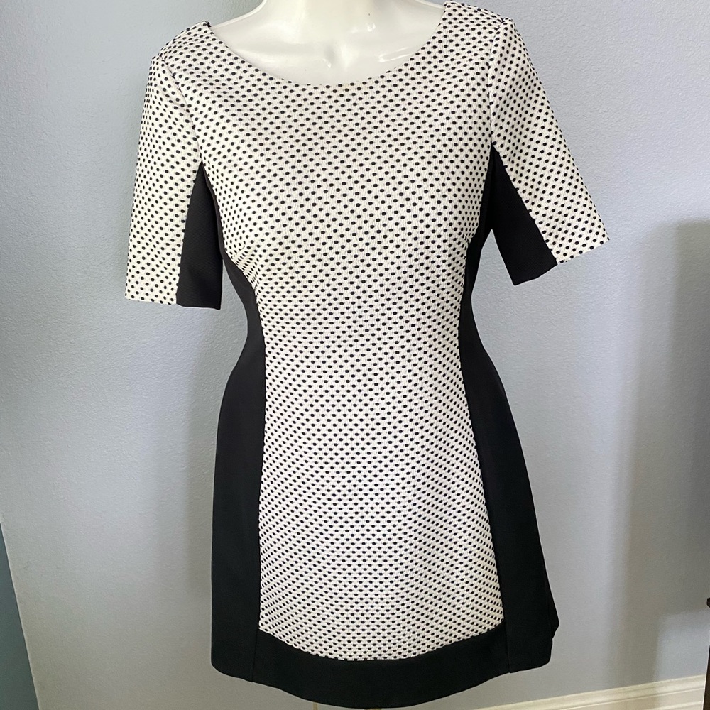 Formal Polka Dot Dress from BCBG